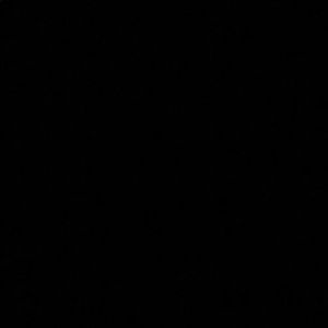 Meet your Posher, Tessa